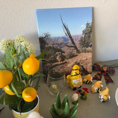 Sale Photo Thumbnail #39