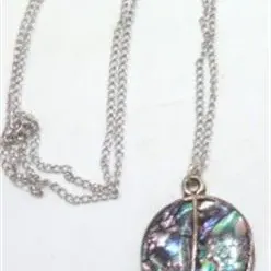 Lot 021   4 Bid(s)
Silver Alpaca Abalone necklace