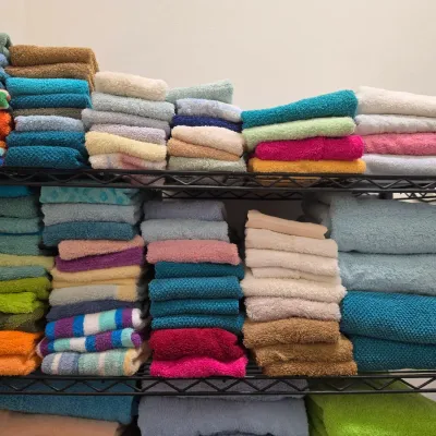 Sale Photo Thumbnail #268: Large assortment of neatly folded bath and hand towels in various colors stacked on a black wire utility shelf.