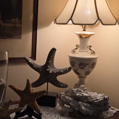 Sale Photo Thumbnail #130: Vintage urn-style ceramic table lamp with gold accents alongside various coastal decor items, including dried starfish and coral specimens.