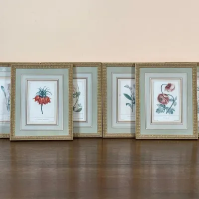 Collection Of Six Small Framed Botanical Prints
