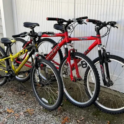 Collection Of Bikes For The Family