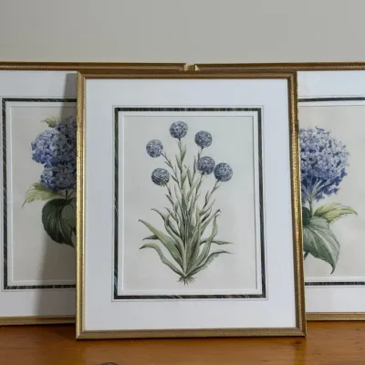 Trio Of Gold Painted Frame Pen Signed Botanical Prints - Stephen Freeburg