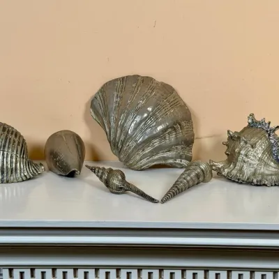 Collection Of Six Silver Plate Decorative Shells