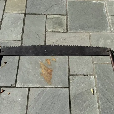 Antique Crosscut Saw