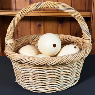 Basket Of Five Hollowed Out Ostrich Eggs