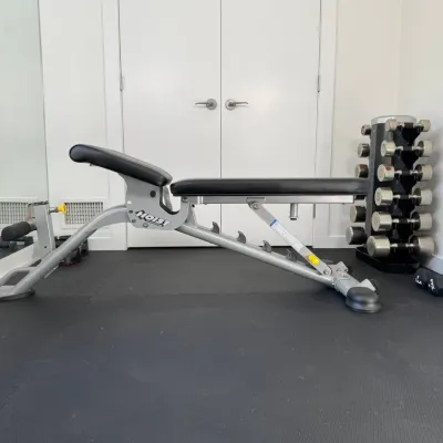 Hoist Weight Bench With Set Of Hampton Hand Weights