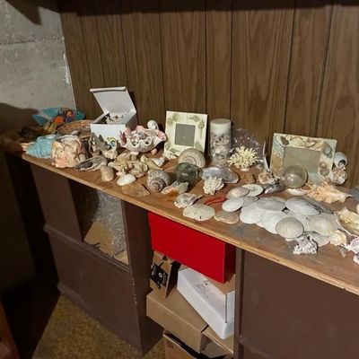 Sale Photo Thumbnail #6: Large collection of sea shells, sand dollars, coral, and seashell-adorned photo frames displayed on a wooden shelf.