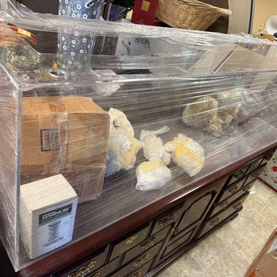 Acrylic salt water aquarium 