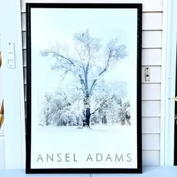 Sale Photo Thumbnail #43: Large framed Ansel Adams art exhibition poster featuring a black-and-white winter snow scene of a frosted tree in a simple black frame.