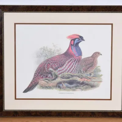 Sale Photo Thumbnail #105