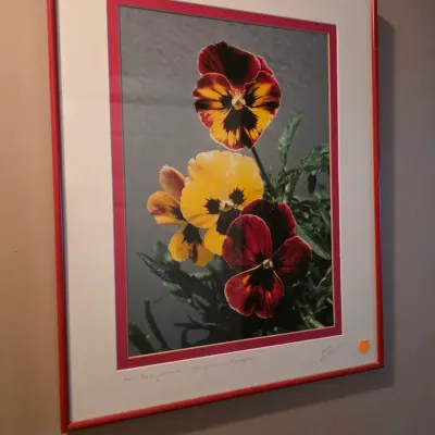 Sale Photo Thumbnail #127