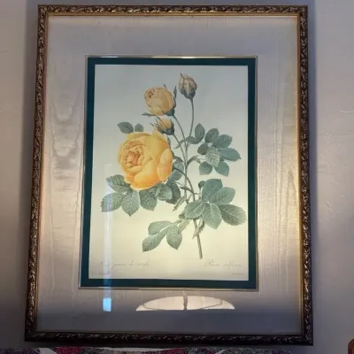 Set of 3 Framed French Botanical Floral Prints After J. L. Prévost – Roses & Mixed Flowers
