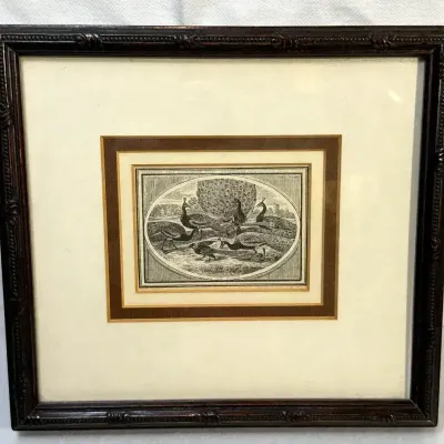"The Vain Jack-Daw" Engraving By Thomas Bewick