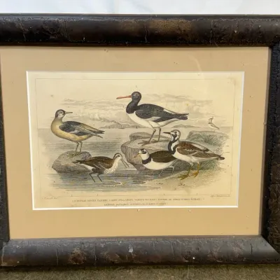 1859 James Stewart Hand Tinted "Oyster Catchers" 
