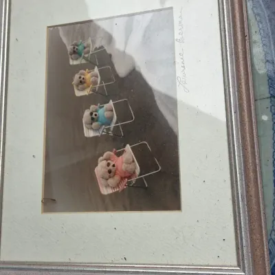 Sale Photo Thumbnail #151