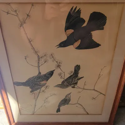 Sale Photo Thumbnail #271