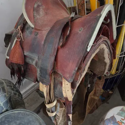 Maybe western style saddle