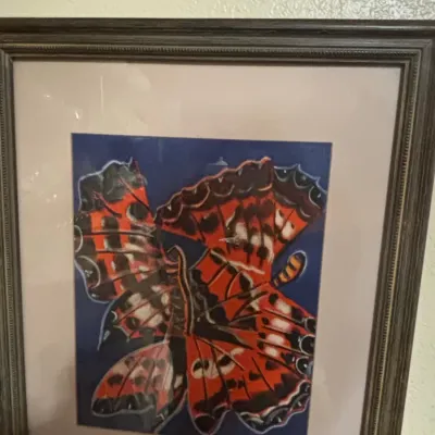 Sale Photo Thumbnail #44: Original pastel drawing of a butterfly by cosio