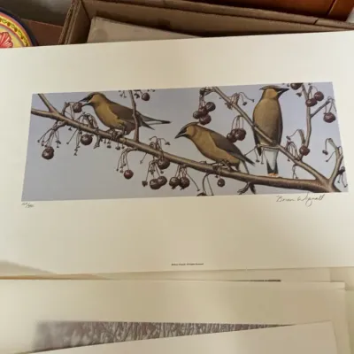 Sale Photo Thumbnail #89: Brian wignall limited edition wildlife prints third image
