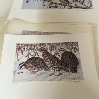 Sale Photo Thumbnail #88: Brian wignall limited edition bird prints