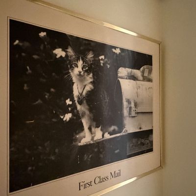 Sale Photo Thumbnail #155