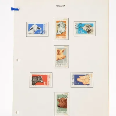 Sale Photo Thumbnail #230
