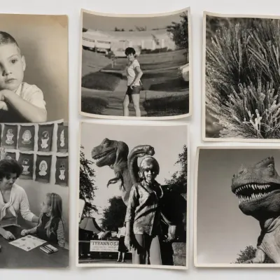 Sale Photo Thumbnail #224