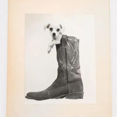 Sale Photo Thumbnail #103