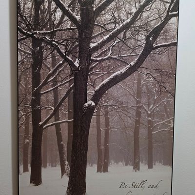 Sale Photo Thumbnail #263: P. Graham Dunn 'Be Still and Know That I Am God' Psalm 46:10 Wall Art