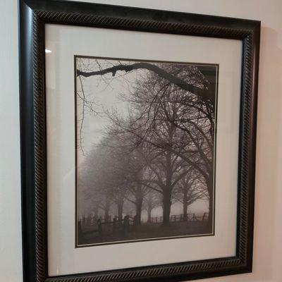 Sale Photo Thumbnail #172: Framed Black and White Landscape Photograph