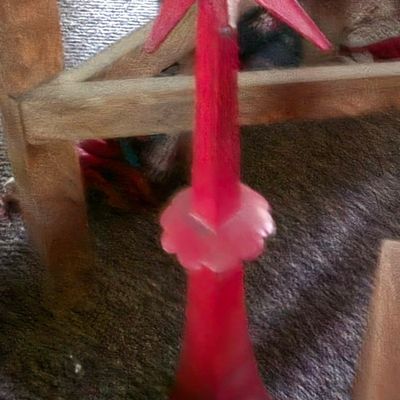 Sale Photo Thumbnail #184: Mid-Century Modern Starburst Candle Holder