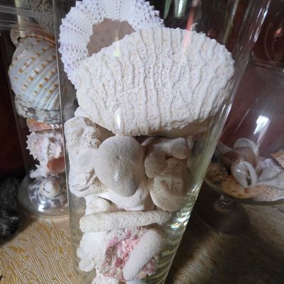 Sale Photo Thumbnail #239: Decorative Glass Vase with Assorted Natural Coral and Shell Collection