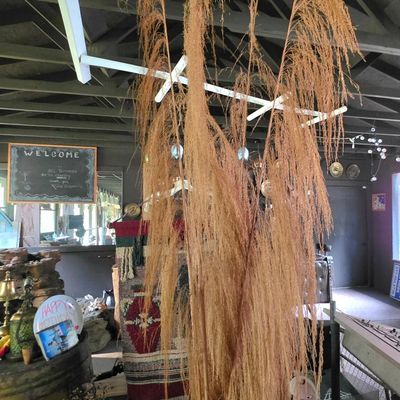 Sale Photo Thumbnail #223: Large Dried Pampas Grass Arrangement