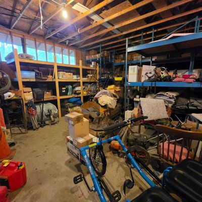 Worksman Team Dual Trike