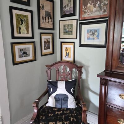 Sale Photo Thumbnail #7: Boston Terrier Pictures & Walnut Chair