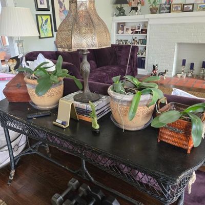 Sale Photo Thumbnail #5: Wicker Table, Orchids & Lamp