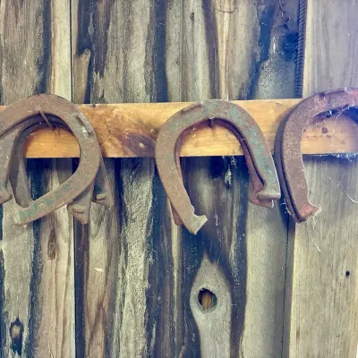 (7) Antique Horseshoes