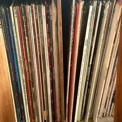 Record Mystery Lot