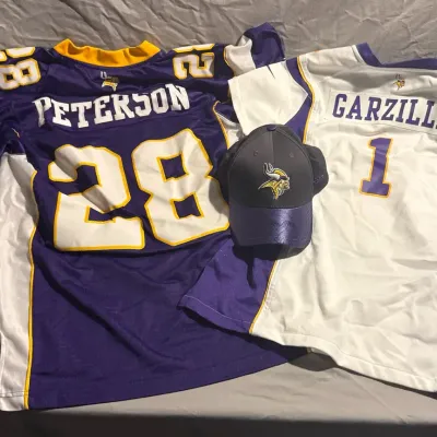 Minnesota Vikings Fan