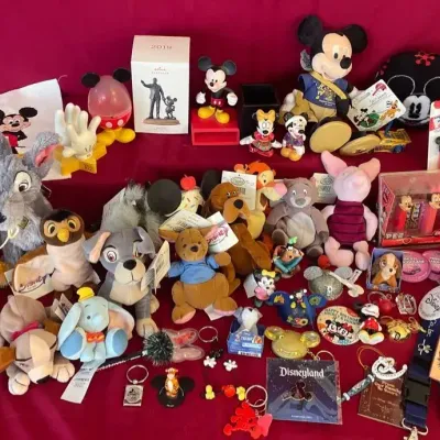 Disney Mystery Lot!