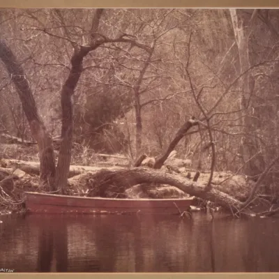 Sale Photo Thumbnail #194