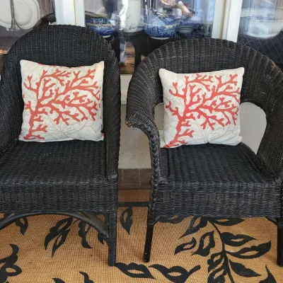 Sale Photo Thumbnail #40: Pottery Barn and vintage wicker chair pair.Will be the season soon!
$50 pair