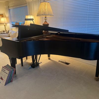 Sale Photo Thumbnail #6: Black grand piano set in a living room, featuring brass caster feet and an open prop lid, accompanied by a stack of vinyl records on the carpet.