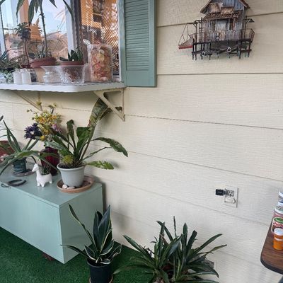 Sale Photo Thumbnail #101: Rustic patio setting featuring potted indoor plants.