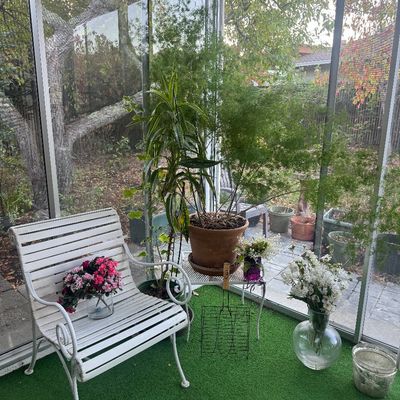 Sale Photo Thumbnail #96: White slatted metal patio armchair displayed alongside potted houseplants, floral arrangements in glass vases, and a wire rack on artificial turf inside a glass sunroom.