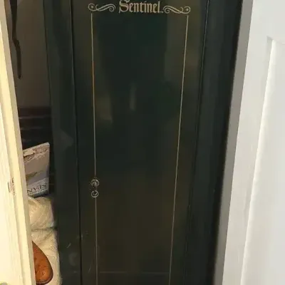 Sentinel Security Safe – Large Locking Gun Safe, Green with Gold Trim