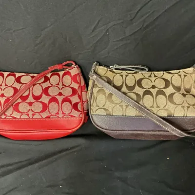 Authenticated Coach Clutches