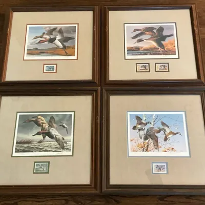 Colorful Flying Ducks