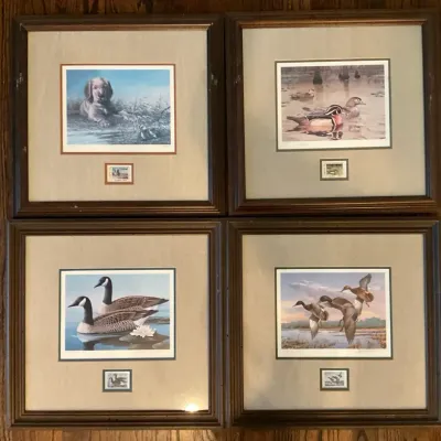 Wetland Prints